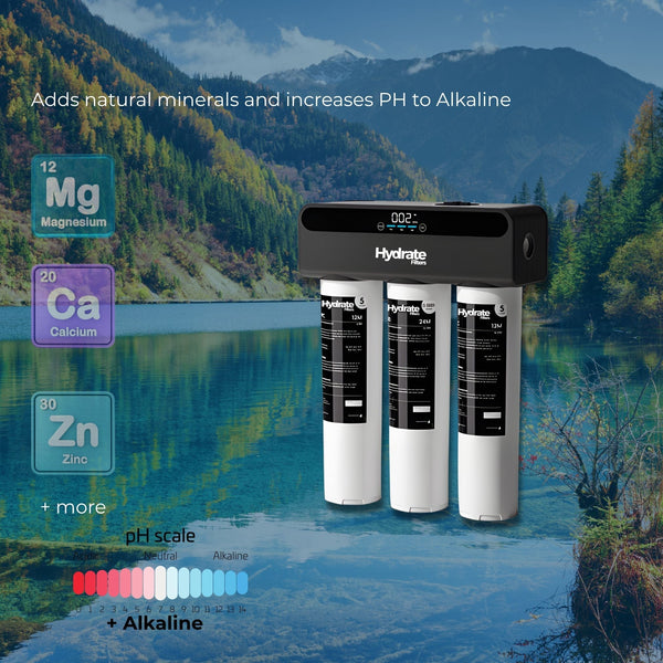 RO water filter with mineral icons in background